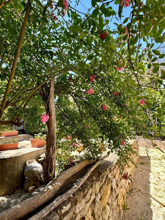 Clos De La Noria Pont-Saint-Esprit Exterior photo